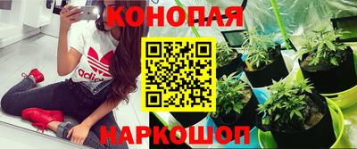 ALPHA PVP Нягань