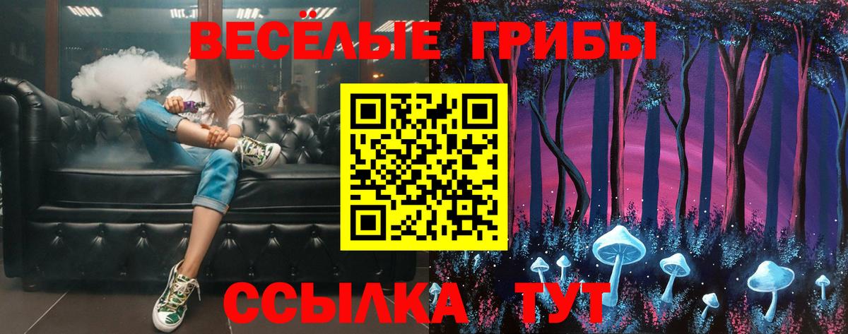 Рузаевка  Псилоцибиновые грибы Psilocybine cubensis  дарнет шоп  Вход с VPN 